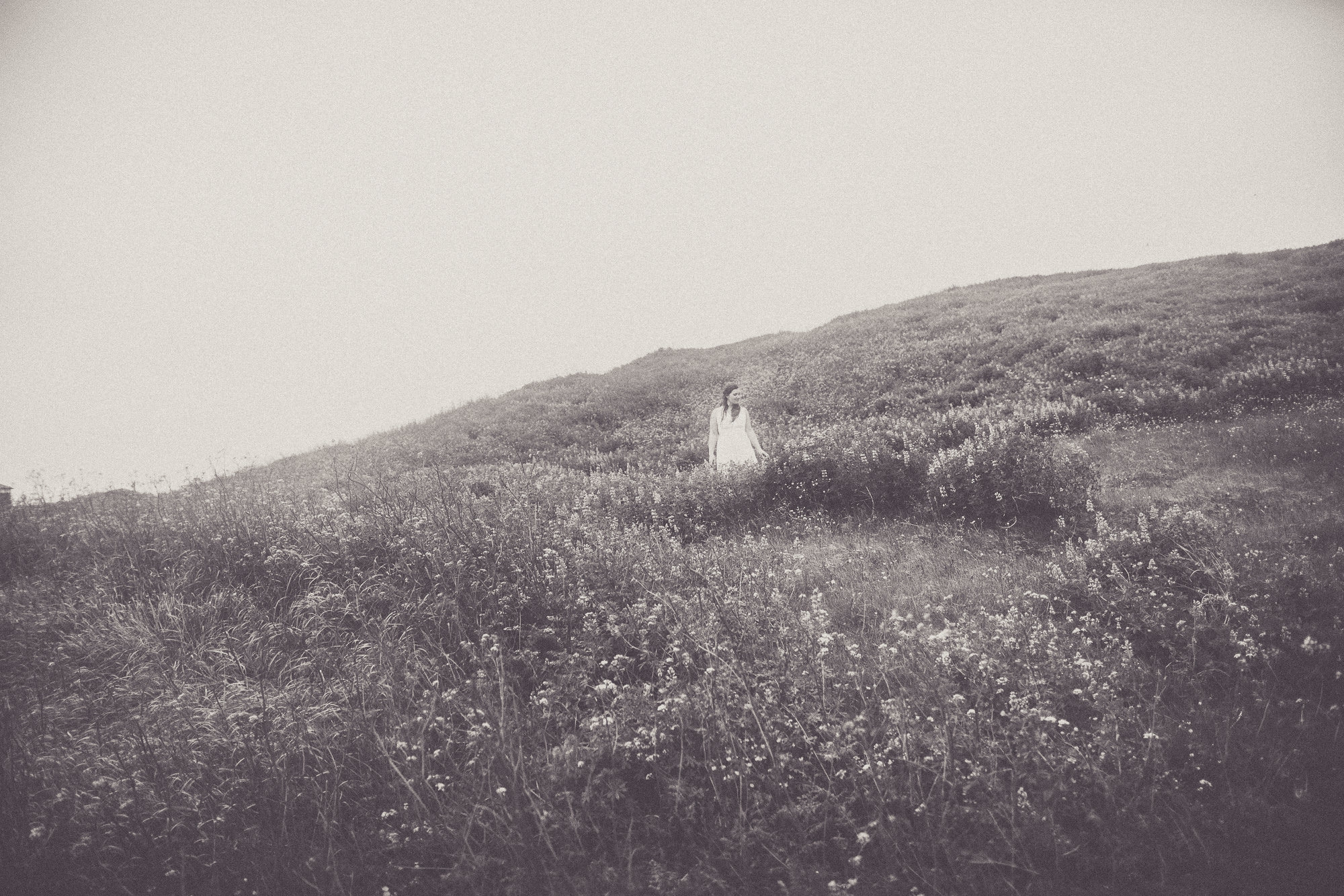 Export x3 5D4 9118 Victoria @ Reykanesviti